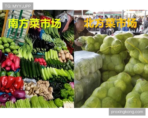 刚刷到傅海峰在菜市场挑茄子,那架势比看拍卖会还专业 刚刷到傅海峰在菜市场挑茄子,那架势比看拍卖会还专业